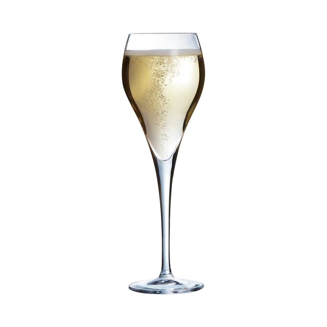 Arcoroc - Kollektion Brio – 6 Champagnergläser 16 cl – Transparenz und Stärke – verstärkte Verpackun