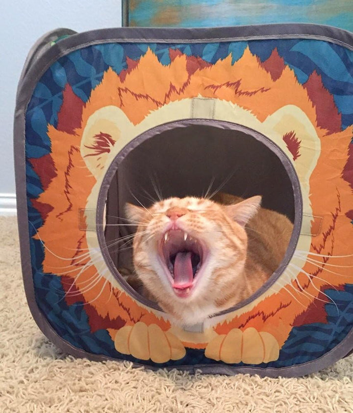 Kitty City Jungle Cat Cube Combo Faltbarer Katzenwürfel Katzenbett Tunnel Katzenspielzeug Kombi, Kom