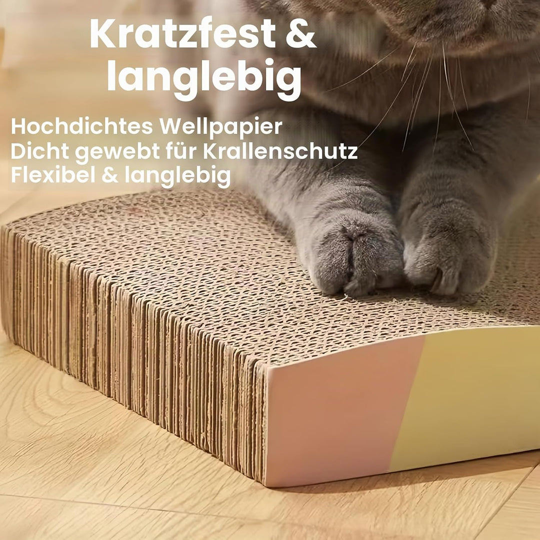 Edelstahl Katzentoilette 2er Set mit hohem Rand | geruchsneutral & leicht zu reinigen | rutschfeste