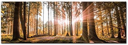 murando Acrylglasbild Landschaft 120x40 cm 1 Teile Wandbild auf Acryl Glas Bilder Kunstdruck Moderne