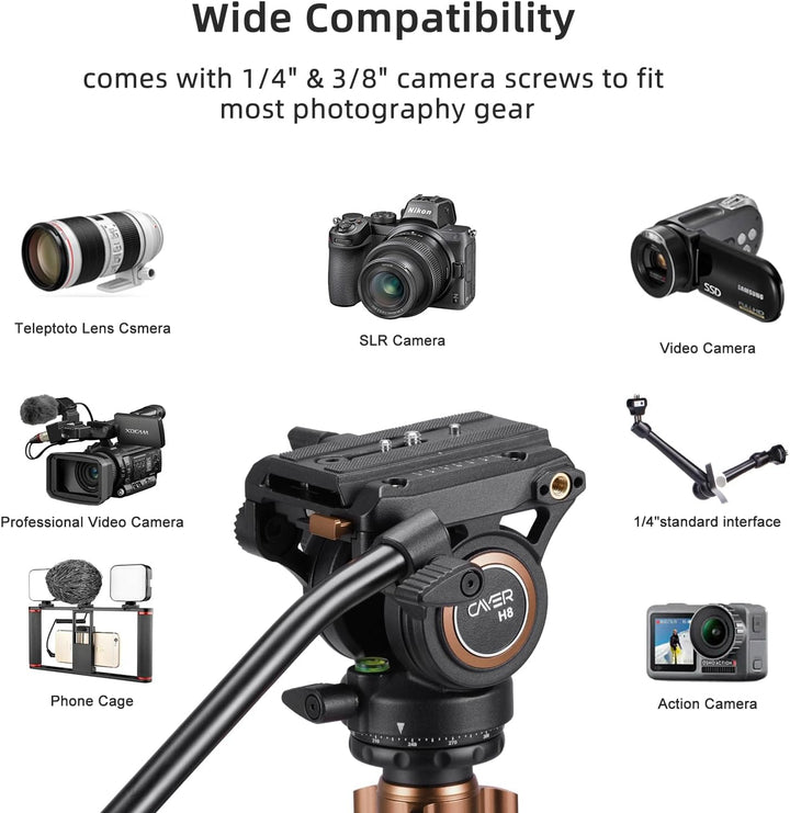 Cayer FP2450 Fluid Head Tripod, 75 Zoll Aluminium Video Stativ, 4-Sektion Kompaktes Kamerastativ umw
