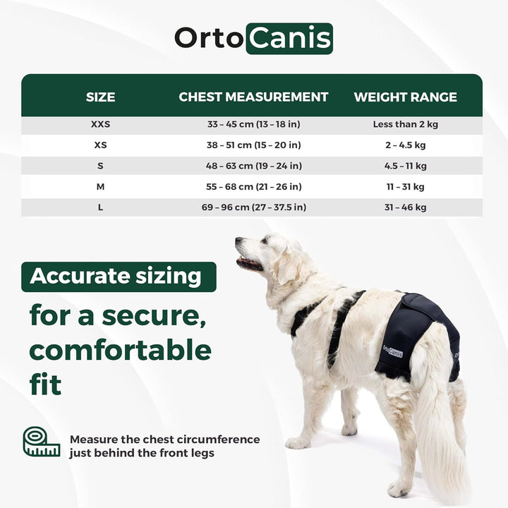 Ortocanis - Hüftorthese für Hunde - Hüftdysplasie, Hüftschmerzen oder Lokalisierten Arthrose - Stabi