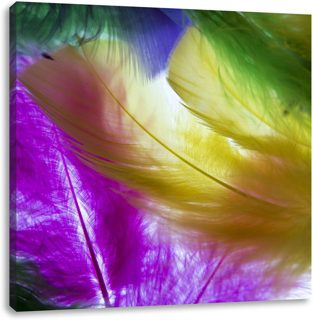Pixxprint Bunte Federn, Format: 70x70 auf Leinwand, XXL riesige Bilder fertig gerahmt mit Keilrahmen