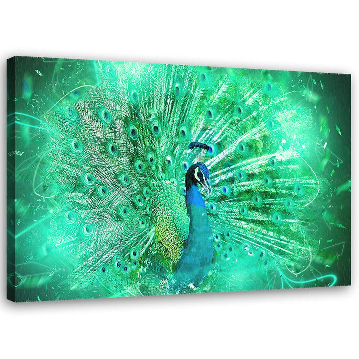Feeby Wandbild Pfau Druckbild Leinwandbild abstrakt Grün 70x50 cm M14232 70x50 cm, M14232 70x50 cm
