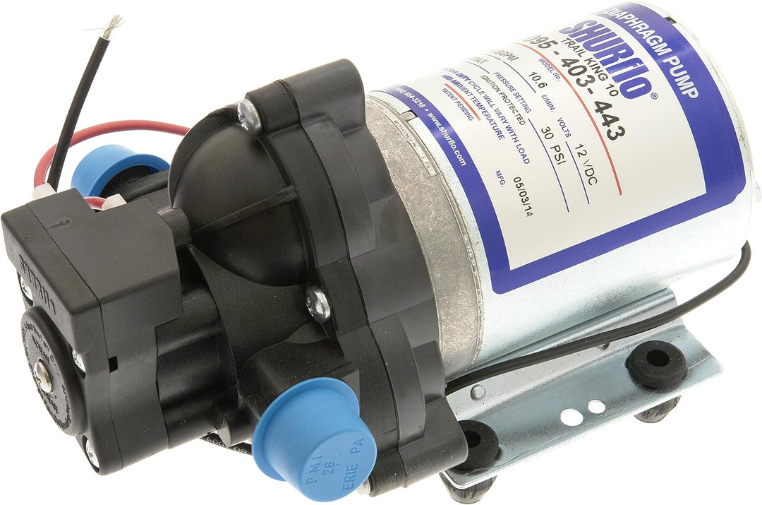 Shurflo Trail King 10 Wasserpumpe, Silber, 12V, 30 PSI & Steckfilter Bundle mit Steckfilter, Bundle