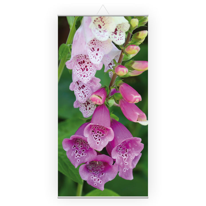 Stoffbanner Natur, Blume ✓ inkl. Aufhängung ✓ Wandbild, Schaufensterdeko, Wanddeko, Werbebanner (60x