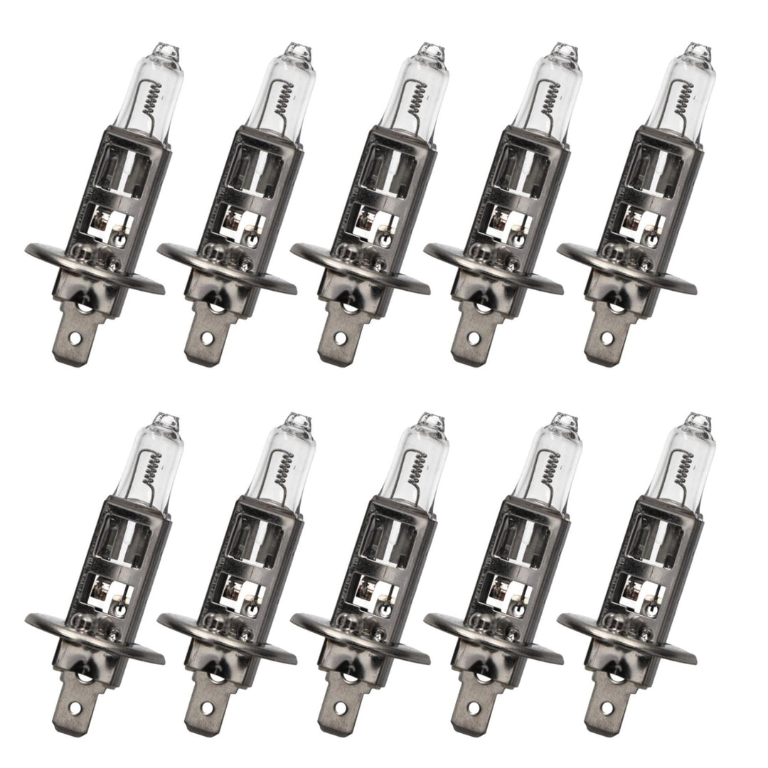 SAMETRUCK Glühlampe Glühbirne 12V 24V PKW LKW (24V H1 70W Glühlampe), 24V H1 70W Glühlampe