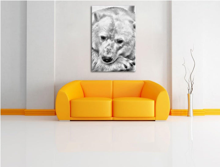 Pixxprint Nachdenklicher Eisbär als Leinwandbild/Grösse: 100x70 cm/Wandbild/Kunstdruck/fertig bespan