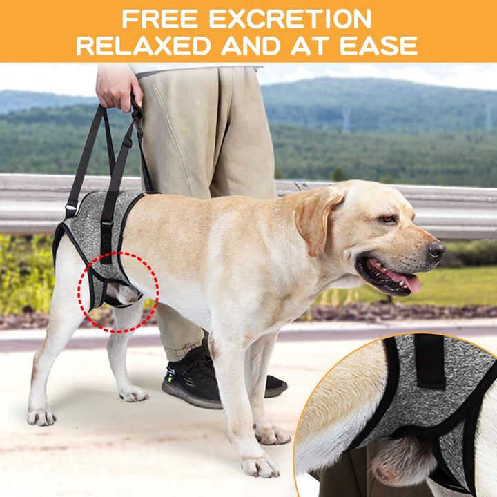 Tragehilfe Hund -Tragbares Hundegeschirr für die Hinterbeine,Verstellbares Hunde Aufzugsgeschirr, Hu