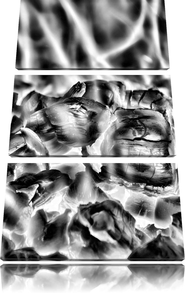 Pixxprint Holzkohle Feuer als Leinwandbild/Grösse: 3 Teilig (120x80) cm/Wandbild/Kunstdruck/fertig b
