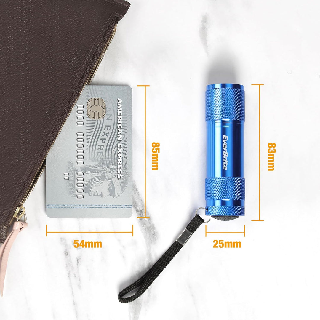 EverBrite 18tlg. LED Taschenlampen Set, mini kleine Kinder Taschenlampe mit Lanyard und 54 AAA Batte