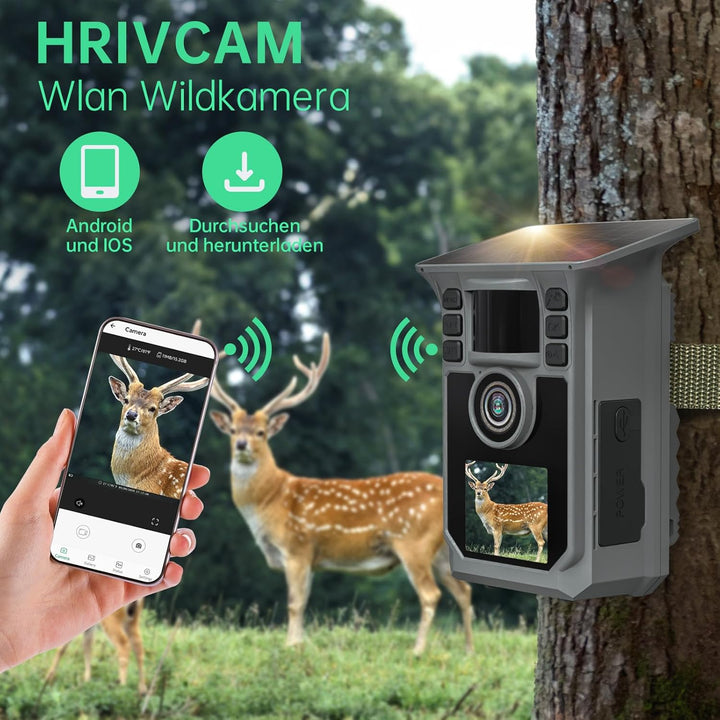 4K 64MP Wildkamera mit Handyübertragung APP, Solar WLAN Bluetooth Eingebaute 5000mAh, 64GB Speicherk