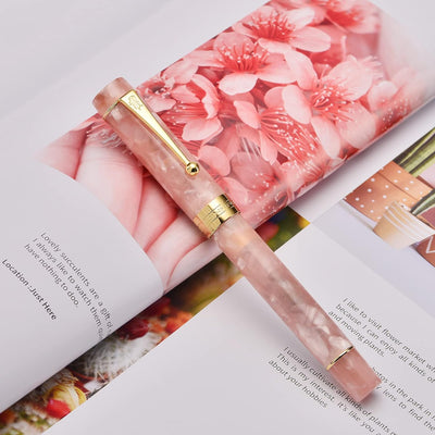 Jinhao Classic Füllfederhalter Pink, extra feine Feder mit Konverter und Stifteetui Set Pink Marble