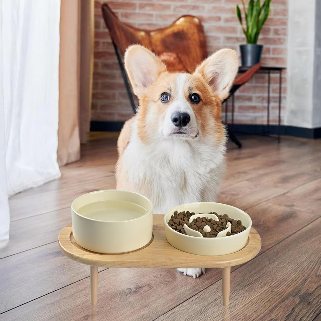 SPUNKYJUNKY Keramik Hundenapf Set Anti Schling Napf mit Bambus Ständer für Katzen und Hunde (Beige)