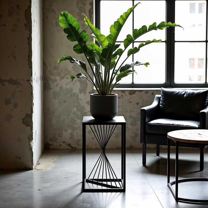 Pflanzenständer River - 24x24x40cm - Farbe Schwarz - für Zimmerblumen - Metallregal - Dekorativer Ti