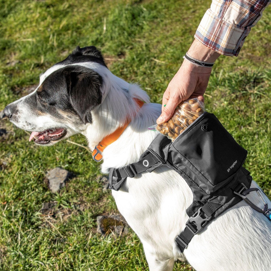Kurgo Stash n' Dash Hundegeschirr, leichtes Westengeschirr für Hunde, Haustiergeschirr mit Tasche, f