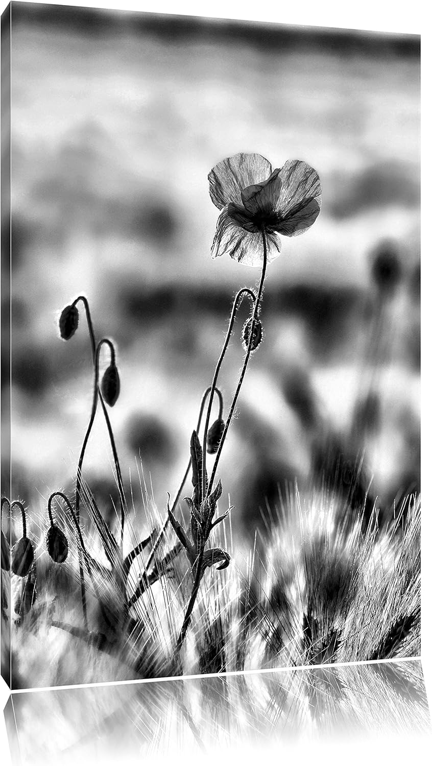 Pixxprint Monocrome, rote Blumen im Feld Tulpen Gemälde, Format: 100x70 auf Leinwand, XXL riesige Bi