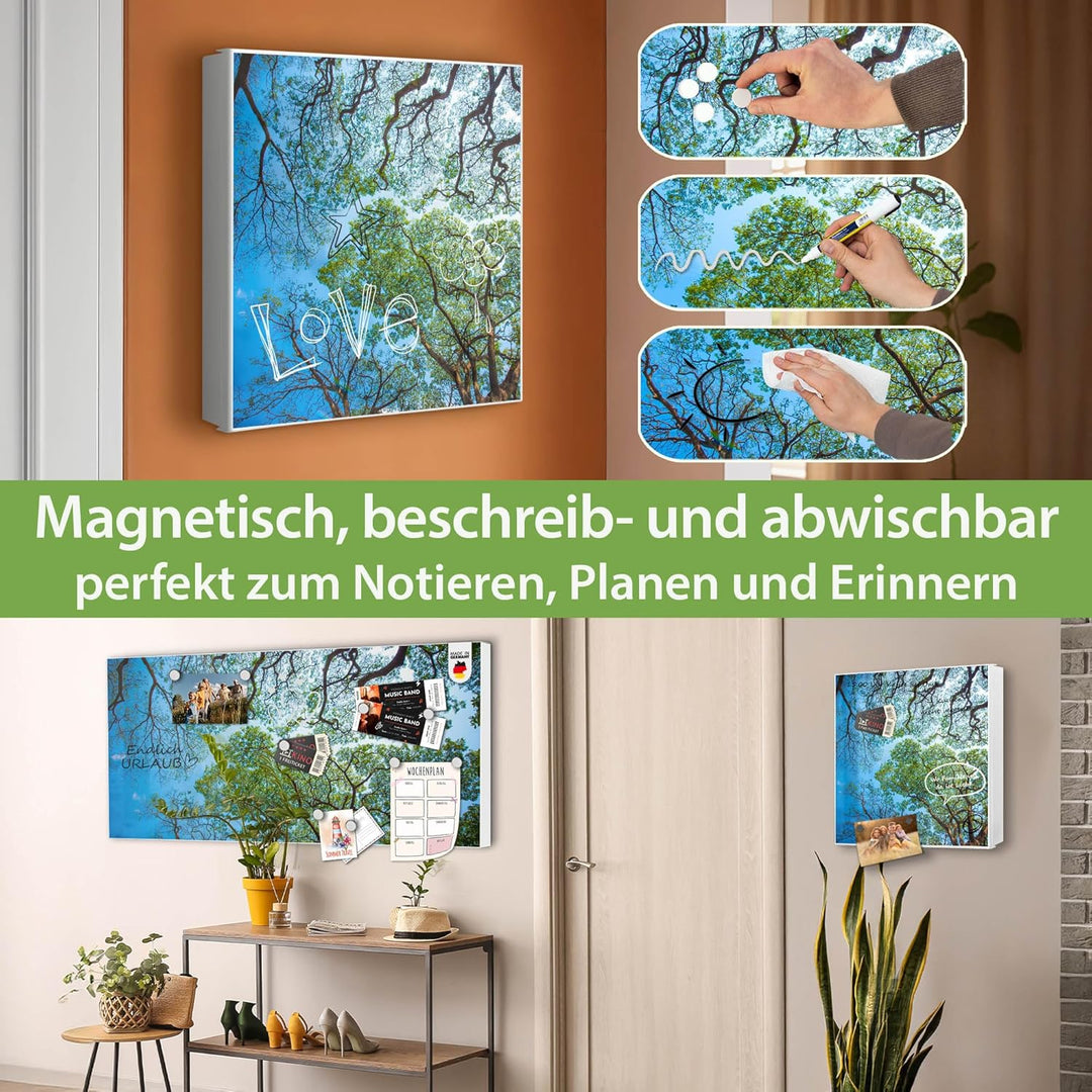 banjado® Grosser Schlüsselkasten Glas/Schlüsselbox 30cm x 30cm mit 50 Haken - Motiv Zwischen Bäumen