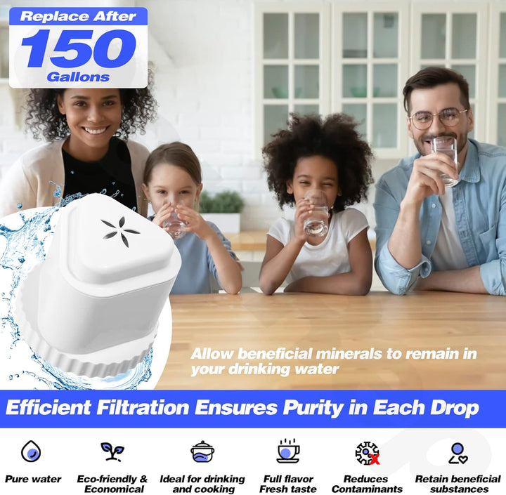 Ersatzfilter für Reinwasserkrug, Wasserfilterkrug und Seychelle Wasserfilterkrug, 4 Stück 4Pack, 4Pa