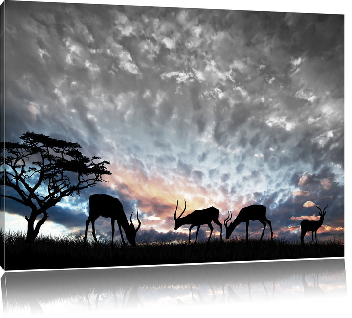 Pixxprint Tiere in der Natur als Leinwandbild | Grösse: 100x70 cm | Wandbild | Kunstdruck | fertig b
