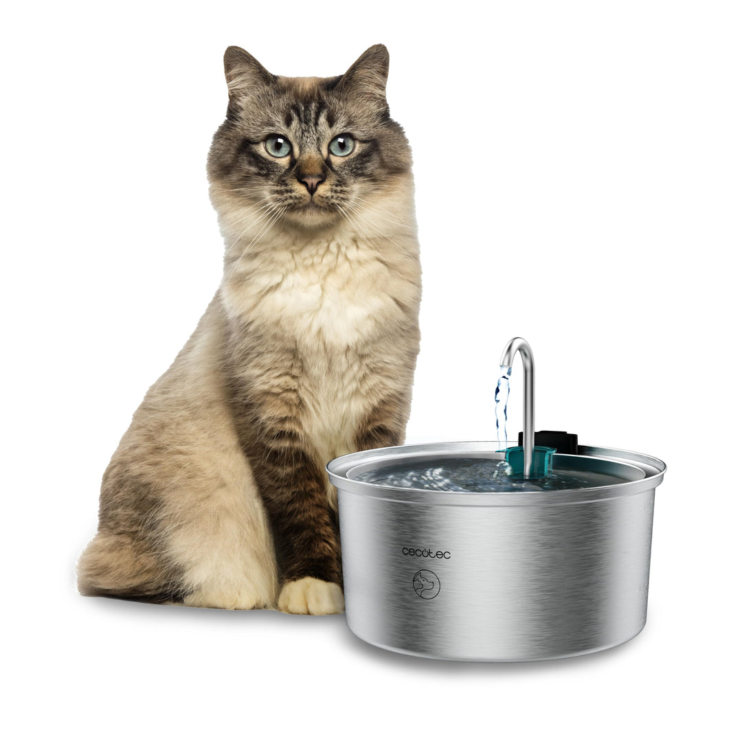 Cecotec Pumba 3200 Refresh INOX Automatischer Katzenbrunnen für Katzen, Haustiere, Fassungsvermögen