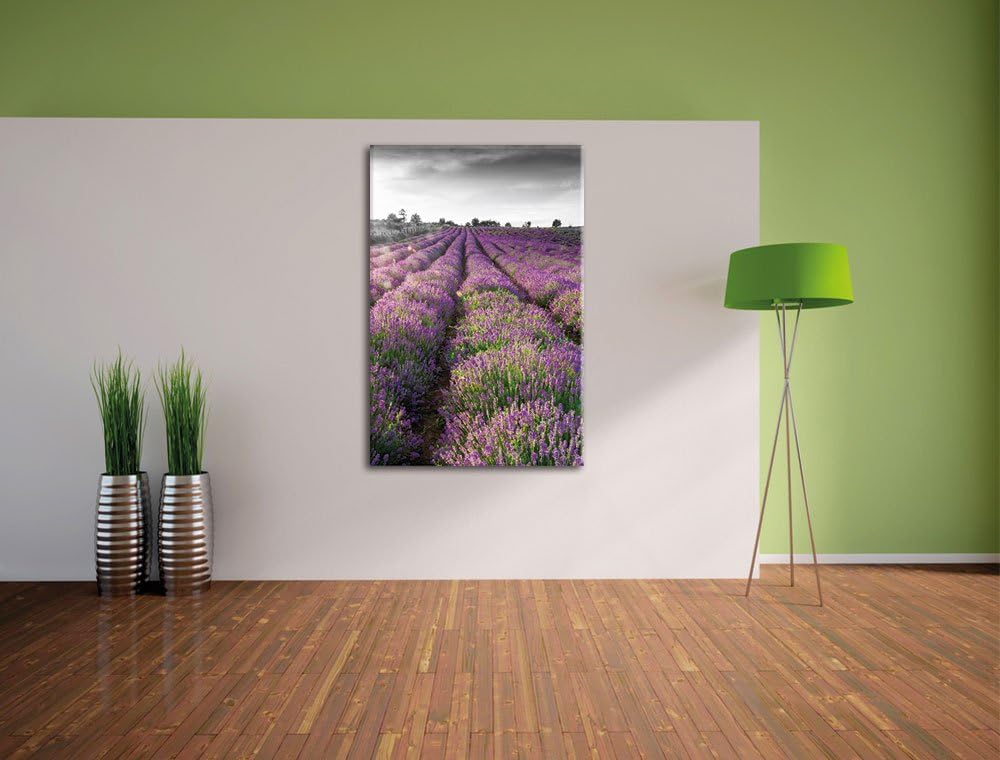 Pixxprint Lavendelfelder in der Provence als Leinwandbild/Grösse: 100x70 cm/Wandbild/Kunstdruck/fert