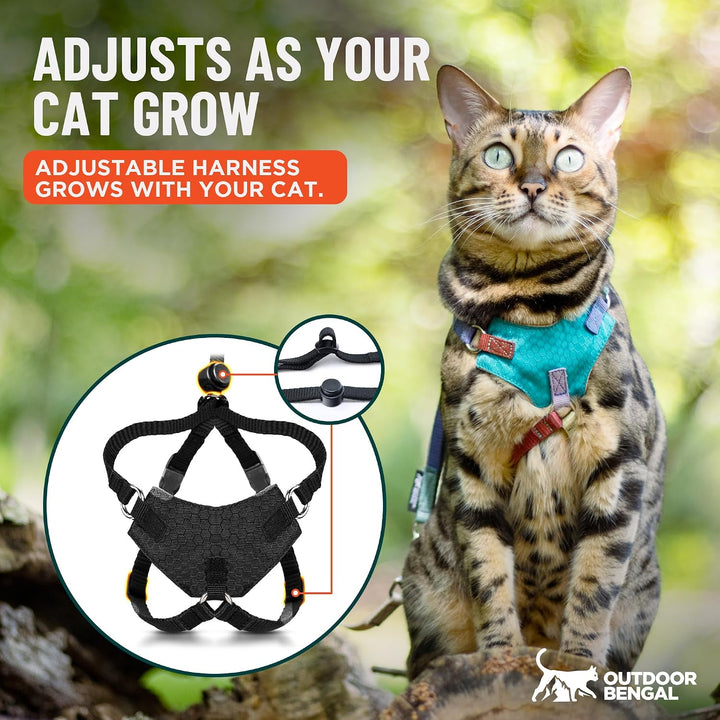 OutdoorBengal Katzengeschirr und Leine, gross, ausbruchsicher, erstickungsfrei, leicht, einfach anzu
