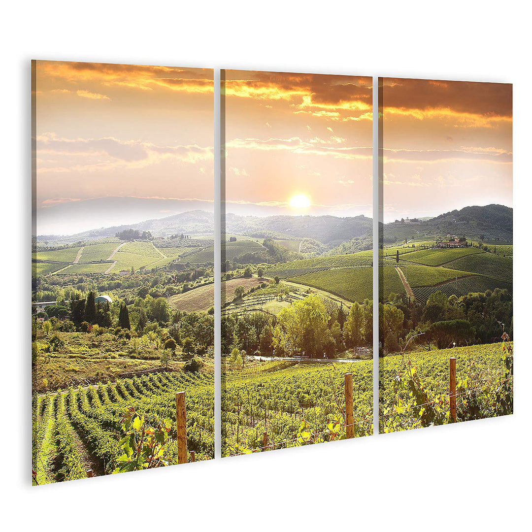 islandburner Bild auf Leinwand Chianti Weinberg Landschaft In Der Toskana Italien Bilder Wandbilder