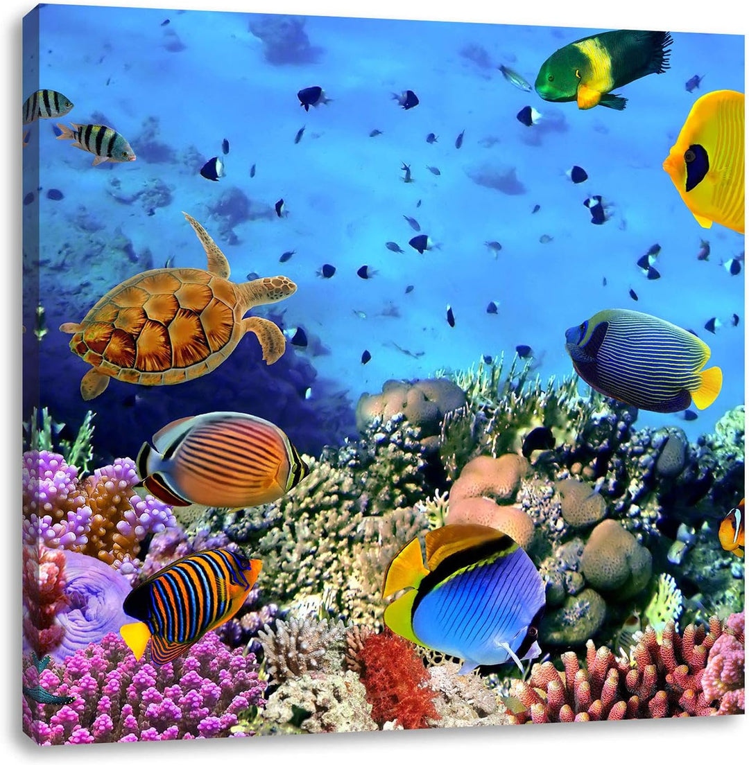 Pixxprint Fische über Korallenriff als Leinwandbild/Grösse: 70x70 cm/Wandbild/Kunstdruck/fertig besp