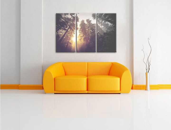 Pixxprint Blick in die Baumwipfel als Leinwandbild/Grösse: 3 Teilig (120x80) cm/Wandbild/Kunstdruck/