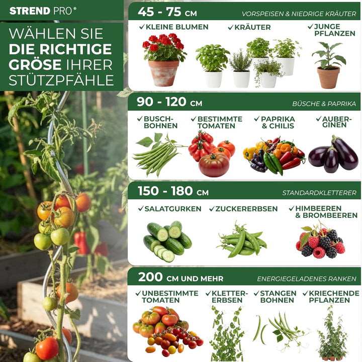 STREND PRO Pflanzstäbe 210 cm - 25 STK. Set | Ø 11 mm Stahl + Kunststoff | Rankstab Grün | Tomaten &amp;