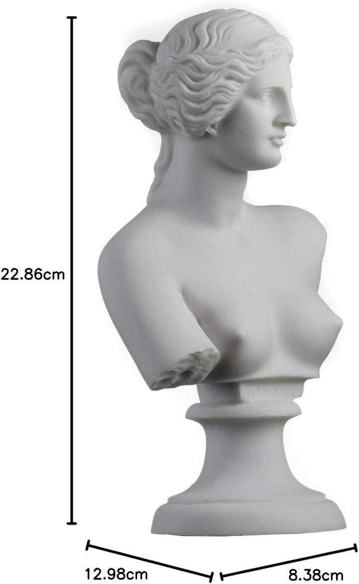 BeautifulGreekStatues Aphrodite Venus Göttin Büste Skulptur Altgriechische römische Mythologie 22,9