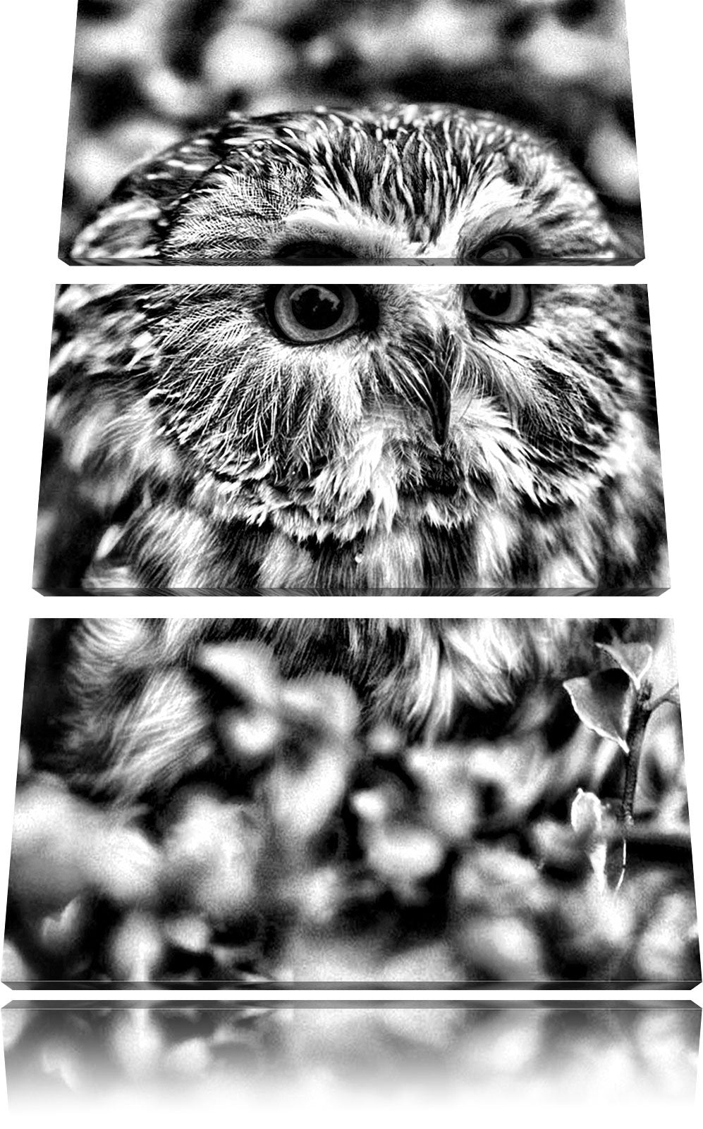 Pixxprint Eule im Vogelbeerenstrauch als Leinwandbild/Grösse: 3 Teilig (120x80) cm/Wandbild/Kunstdru