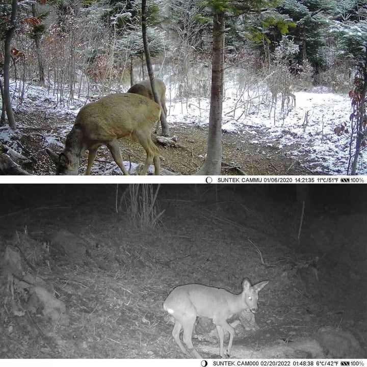 ACAGALA 20 MP/1080P Jagdkamera, 0,3 s Auslösegeschwindigkeit, Nachtsicht, bewegungsaktivierte Wildka