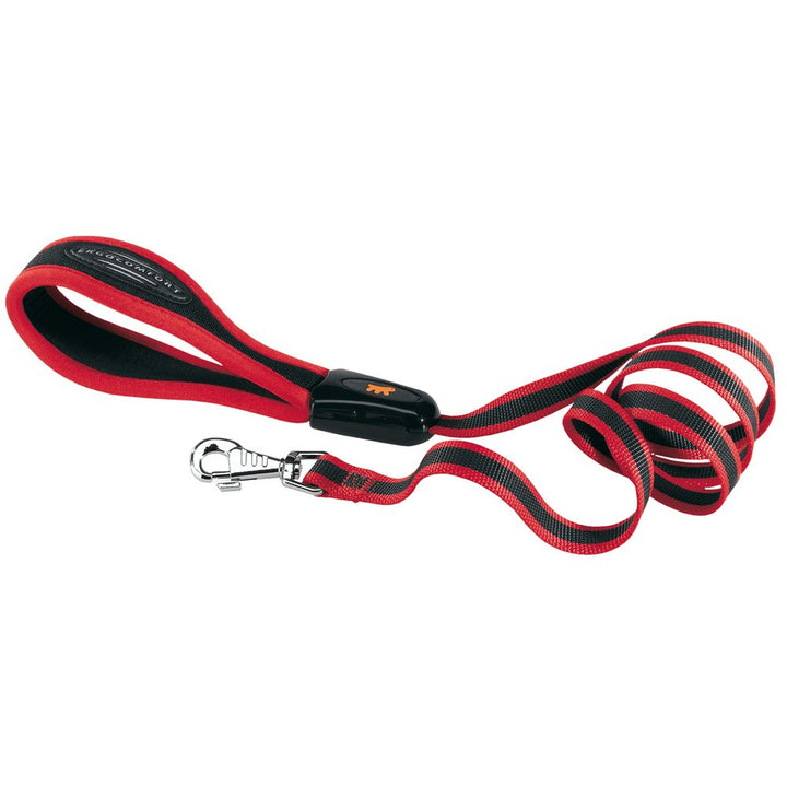 Ferplast ERGOCOMFORT Hundeleine aus Nylon, ergonomischer Griff, weiche Polsterung, Länge 120 cm x 2,