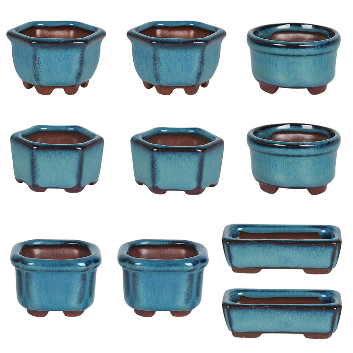 Happy Bonsai 4,5 cm, 10 Mini-glasierte Töpfe Blau, Blau