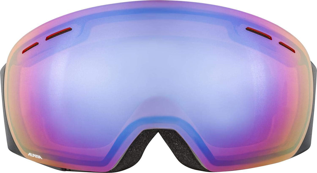 ALPINA Unisex Skibrille Skibrille (1er Pack) Einheitsgrösse Grau, Einheitsgrösse Grau