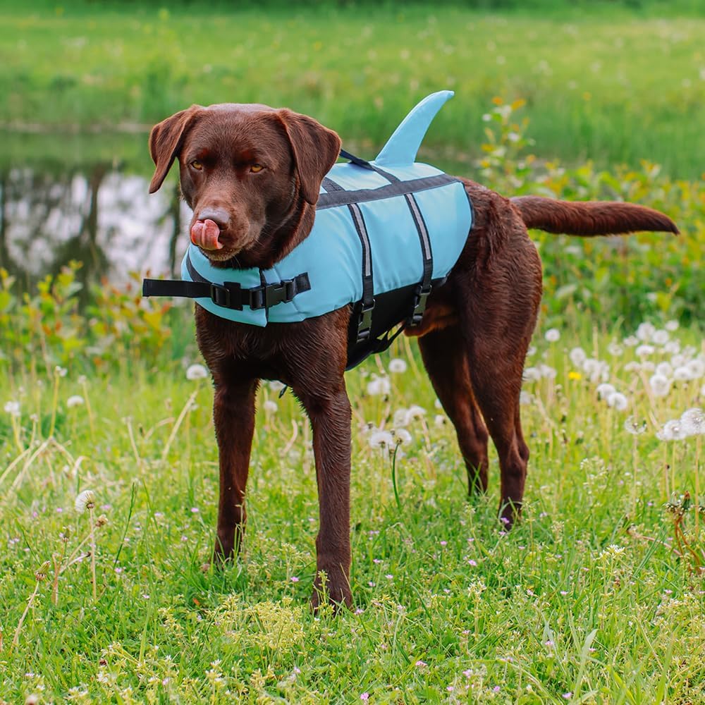 Nobby Hunde Schwimmweste Sharky - verstellbare Brust- und Bauchgurte - Schwimmhilfe - Rettungsweste