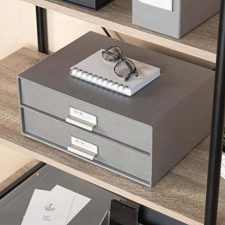 BIGSO BIRGER Schubladenbox – Aufbewahrungsbox mit 2 Schubladen – Schreibtisch Ablage für Dokumente &