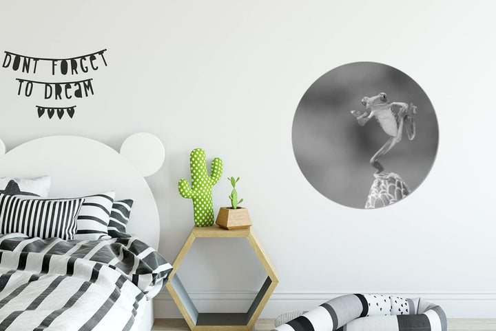 MuchoWow Wandbild Rund Wanddeko Deko Wohnzimmer Bilder 60x60 cm Der rotäugige Laubfrosch in Costa Ri