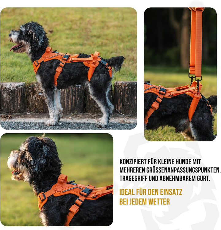 OneTigris Hundegeschirr, Hopper Kleines Unterstützung Geschirr Einstellbares Hebegeschirr mit 2 Grif