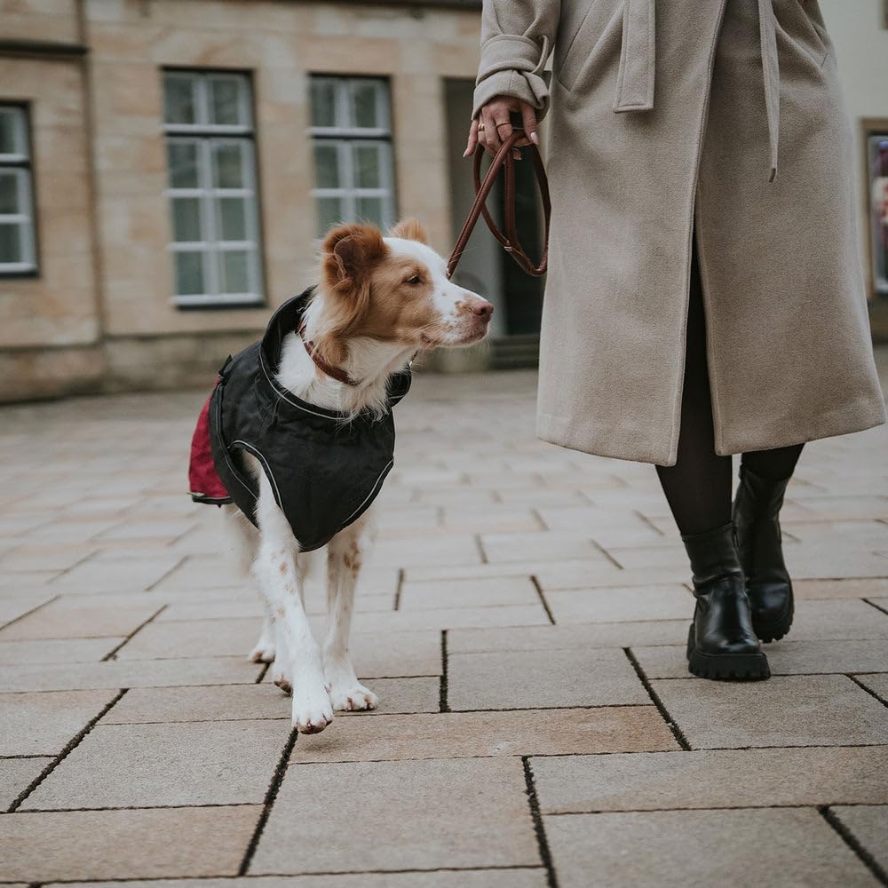 HUNTER Hundemantel UPPSALA COZY, Farbe: anthrazit/rot, wasser- und windabweisend, wärmendes Innenfut