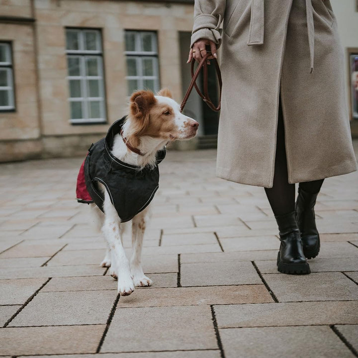HUNTER Hundemantel UPPSALA COZY, Farbe: anthrazit/rot, wasser- und windabweisend, wärmendes Innenfut