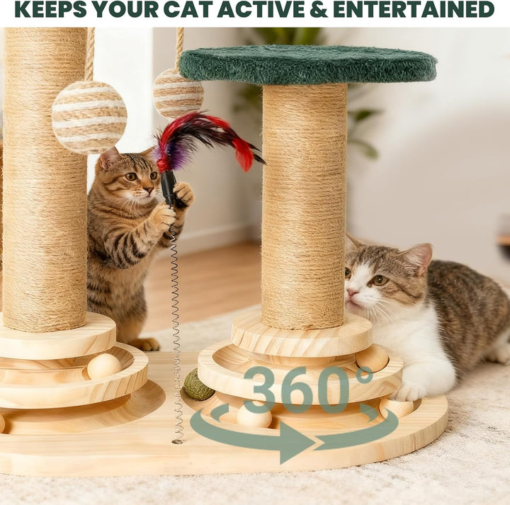 6-in-1 Katzenspielzeug Selbstbeschäftigung Holz, Kratzspielzeug für Katzen, Spielzeug mit Katzenminz