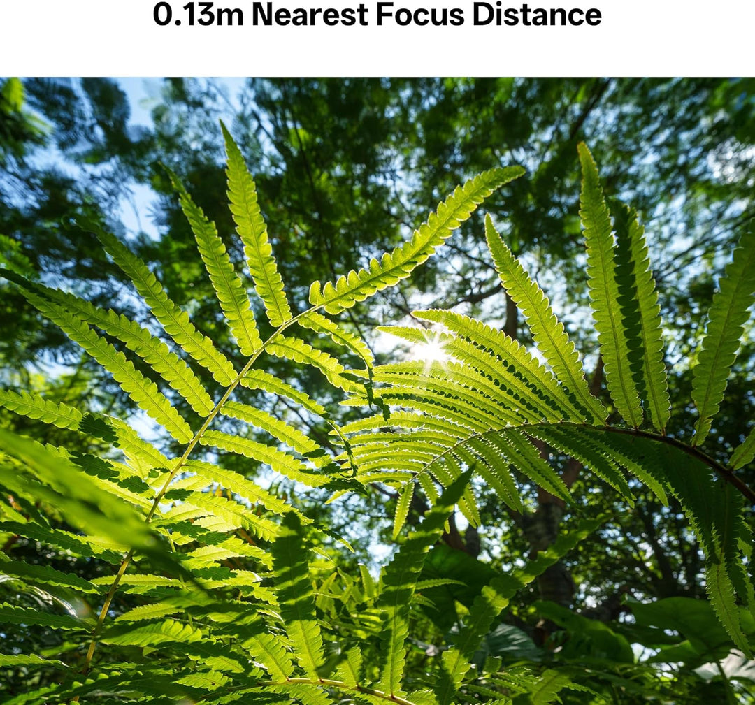 VILTROX 14mm f4.0 FE Objektiv für Sony E-Mount, Vollformat Grosse Blende Ultra-Weitwinkel Prime Obje
