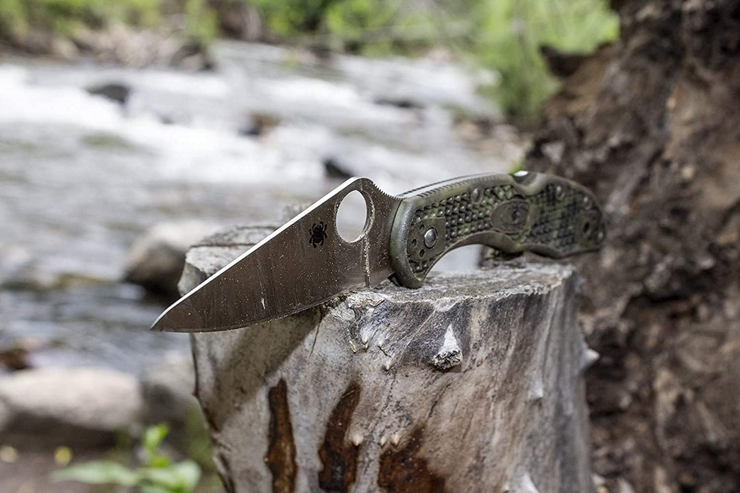 Spyderco Delica 4 Spyder Kantenfaltmesser, Schwarz