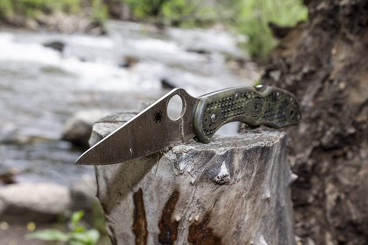 Spyderco Delica 4 Spyder Kantenfaltmesser, Schwarz