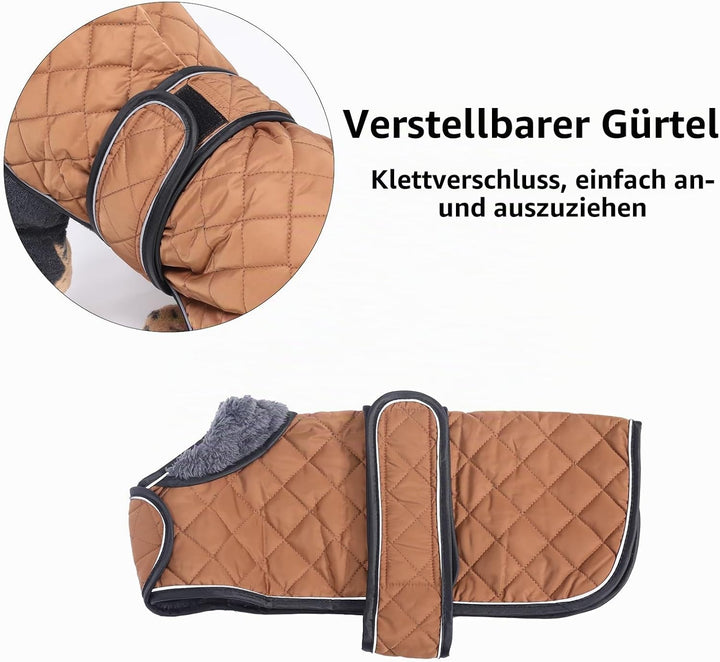 MOREZI Hundemantel Winter für Dackel - Wasserdichter Hunde Pullover mit Wolle Futter &amp; Verstellbaren