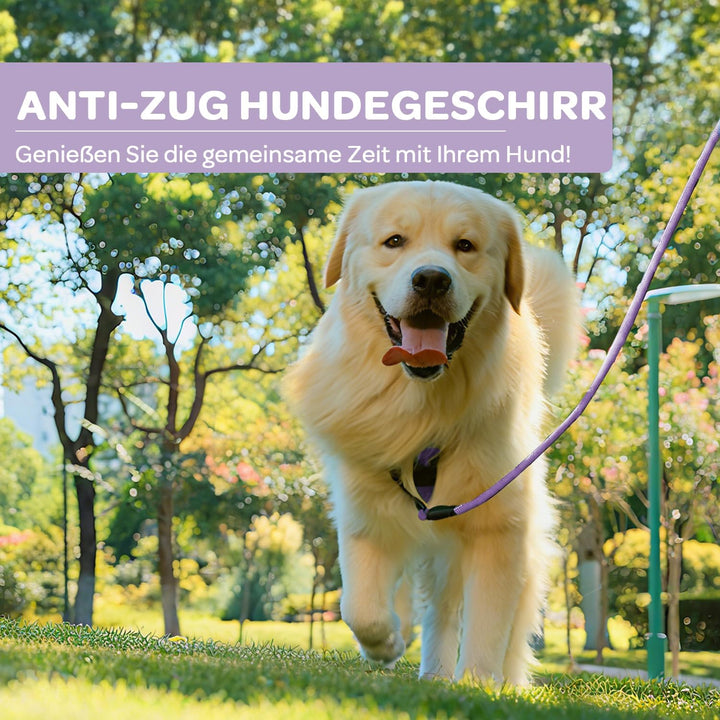 FURRYFECTION Hundefreileinengeschirr Zugfrei Würgfrei, Reflektierendes Oxfordgewebe, Polsternder Gri