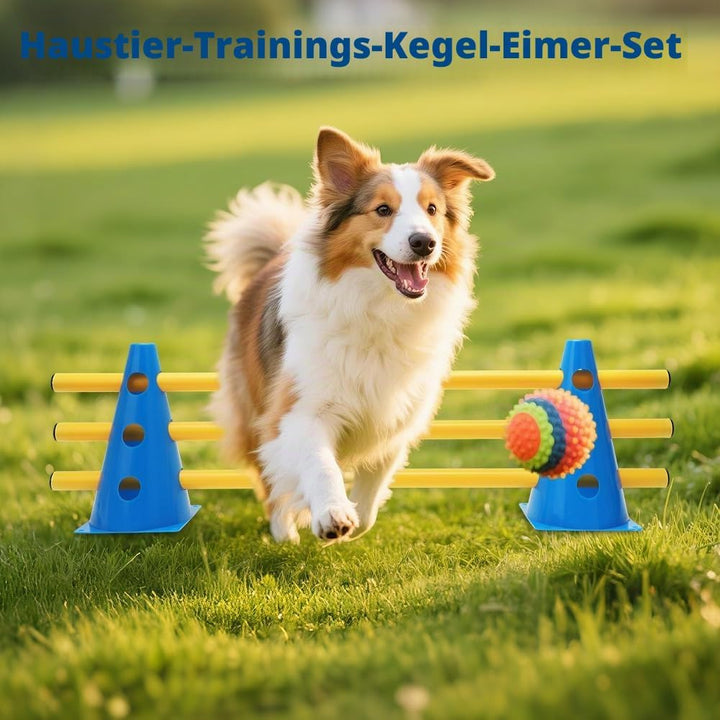 Agility Set Hunde Klein Cavaletti Hunde Steckhürdenset, Sports Steckhürdenset 10 Kegel + 5 Stangen,